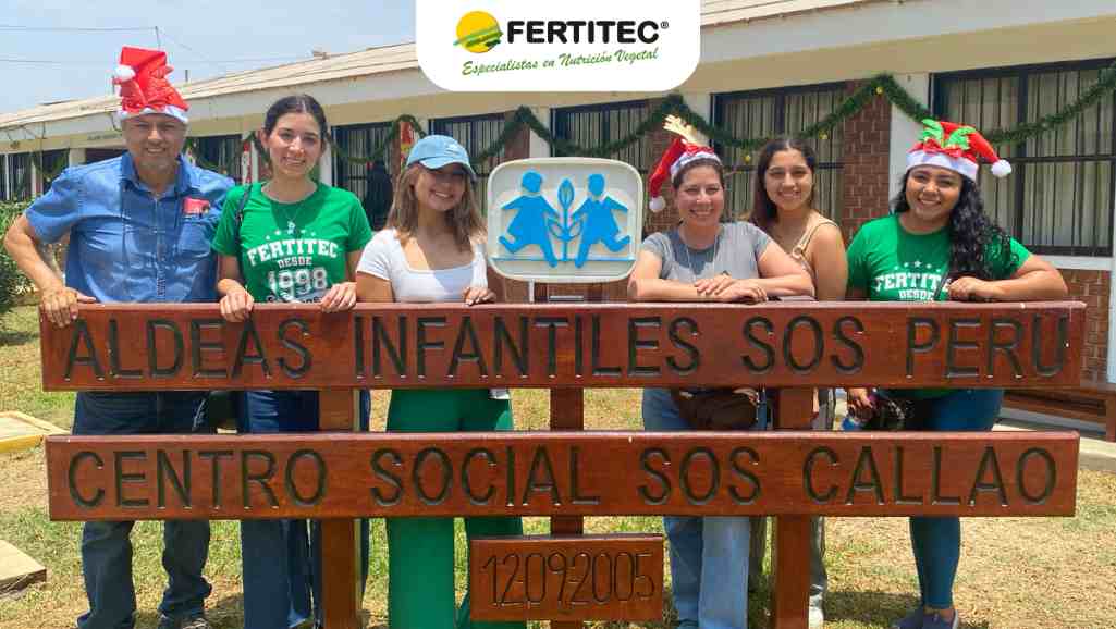 Diseño sin título 1