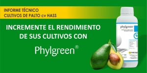 INCREMENTE EL RENDIMIENTO  DE SUS CULTIVOS CON PHYLGREEN&reg;