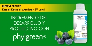INCREMENTO DEL  DESARROLLO Y  PRODUCTIVO CON PHYLGREEN&reg;