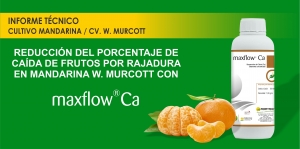 REDUCCI&Oacute;N DEL PORCENTAJE DE  CA&Iacute;DA DE FRUTOS POR RAJADURA  EN MANDARINA W. MURCOTT CON MAXFLOW &reg; Ca