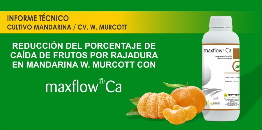 REDUCCI&Oacute;N DEL PORCENTAJE DE  CA&Iacute;DA DE FRUTOS POR RAJADURA  EN MANDARINA W. MURCOTT CON MAXFLOW &reg; Ca