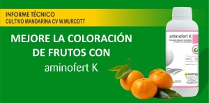 MEJORE LA COLORACI&Oacute;N  DE FRUTOS CON  AMINOFERT K