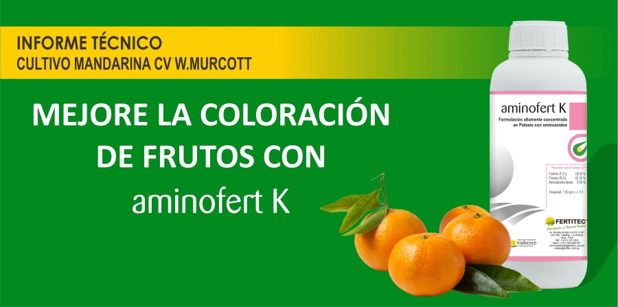 MEJORE LA COLORACI&Oacute;N  DE FRUTOS CON  AMINOFERT K