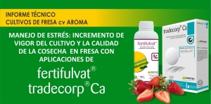 INCREMENTO DE VIGOR Y LA CALIDAD DE LA COSECHA EN FRESA CON APLICACIONES DE FERTIFULVAT&reg;  Y TRADECORP&reg; CA