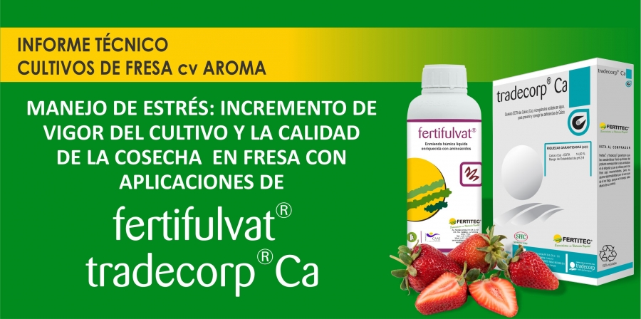 INCREMENTO DE VIGOR Y LA CALIDAD DE LA COSECHA EN FRESA CON APLICACIONES DE FERTIFULVAT&reg;  Y TRADECORP&reg; CA