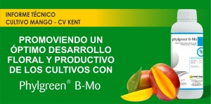 PROMUEVE UN &Oacute;PTIMO DESARROLLO FLORAL Y PRODUCTIVO