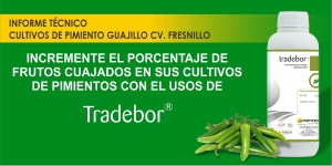 INCREMENTE EL PORCENTAJE DE  FRUTOS CUAJADOS EN SUS CULTIVOS  DE PIMIENTOS CON EL USOS DE TRADEBOR&reg;