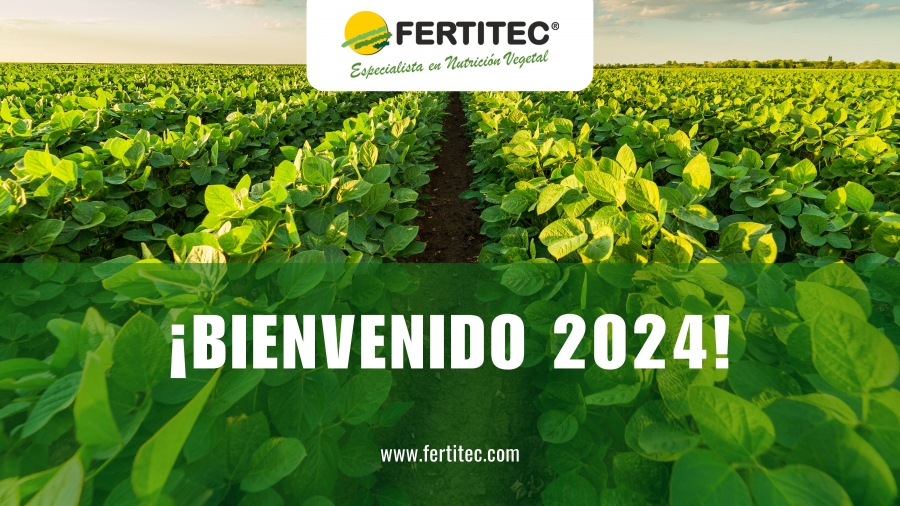 &iexcl;Bienvenido 2024!