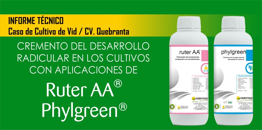 INCREMENTA EL DESARROLLO RADICULAR CON APLICACIONES DE PHYLGREEN Y RUTER AA