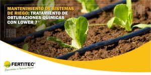 TRATAMIENTO DE  OBTURACIONES QU&Iacute;MICAS  CON LOWER&reg; 7