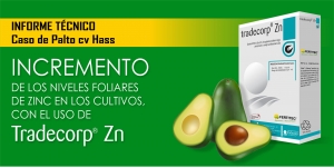 INCREMENTO DE LOS NIVELES FOLIARES DE ZINC EN LOS CULTIVOS, CON EL USO DE TRADECORP&reg; Zn