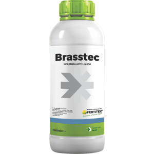 Brasstec