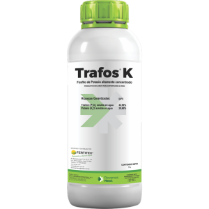 Trafos K®